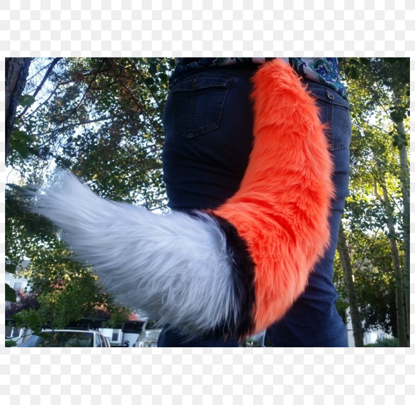 Furry Fandom Tail Cat Gray Wolf, PNG, 800x800px, Furry Fandom, Animal, Cat, Clothing, Cosplay Download Free