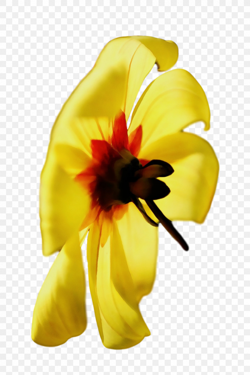 Cut Flowers Flower Petal Yellow Plants, PNG, 1200x1800px, Watercolor, Biology, Cut Flowers, Flower, Paint Download Free