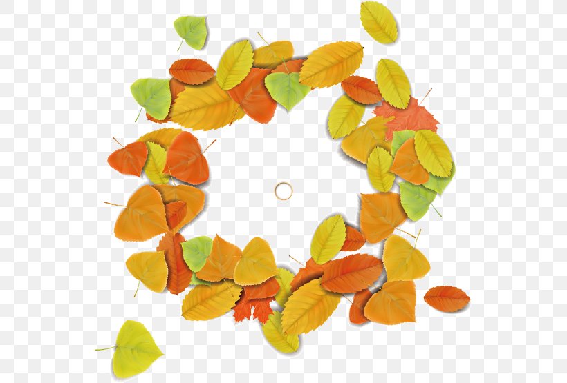 Maple Leaf Circle Autumn, PNG, 545x555px, Leaf, Autumn, Border, Designer, Fruit Download Free