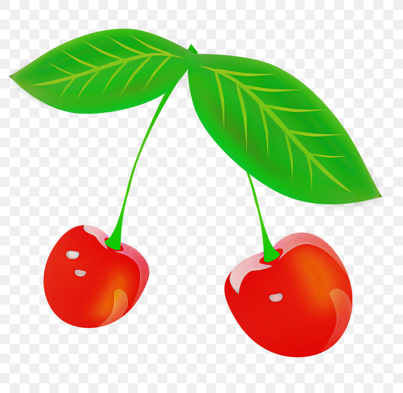 Cherry Cherry Pie Fruit Fruit Logo, PNG, 800x800px, Cherry, Apple, Cherry Pie, Fruit, Logo Download Free