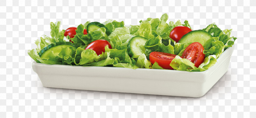 Salad, PNG, 840x390px, Garden Salad, Cherry Tomatoes, Cuisine, Dish, Food Download Free