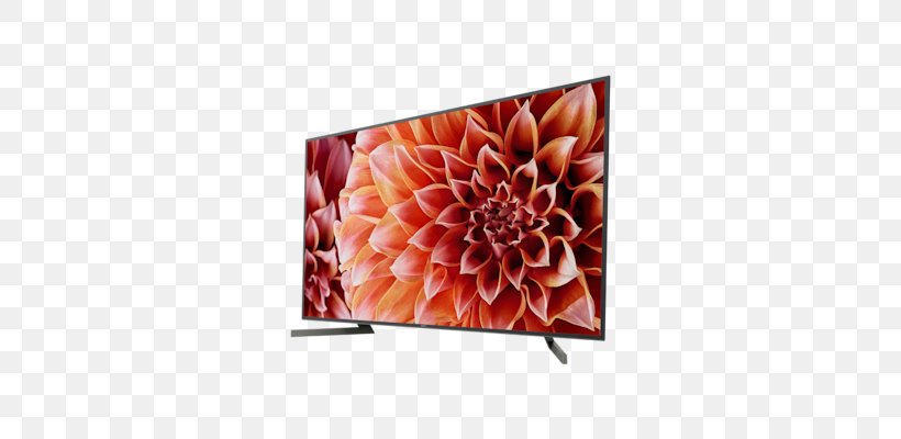 Sony XF8505 Sony BRAVIA XBR X900F Series XBR 49X900F, PNG, 676x400px, 4k Resolution, Smart Tv, Flower, Highdynamicrange Imaging, Ledbacklit Lcd Download Free