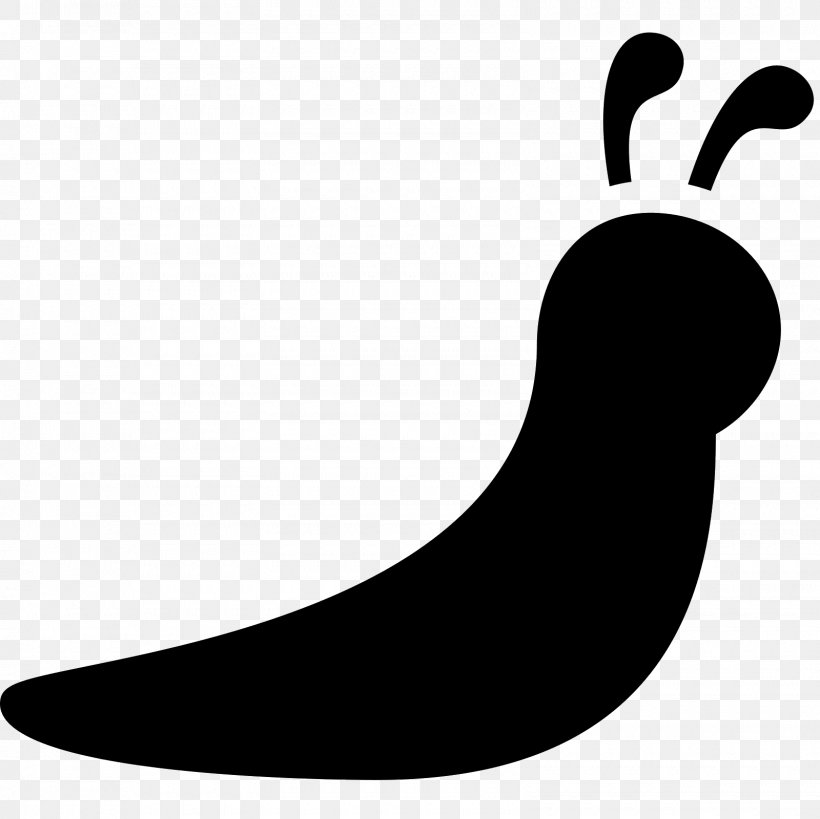 Slugs And Snails Clip Art, PNG, 1600x1600px, Slug, Animal, Artwork, Black, Black And White Download Free