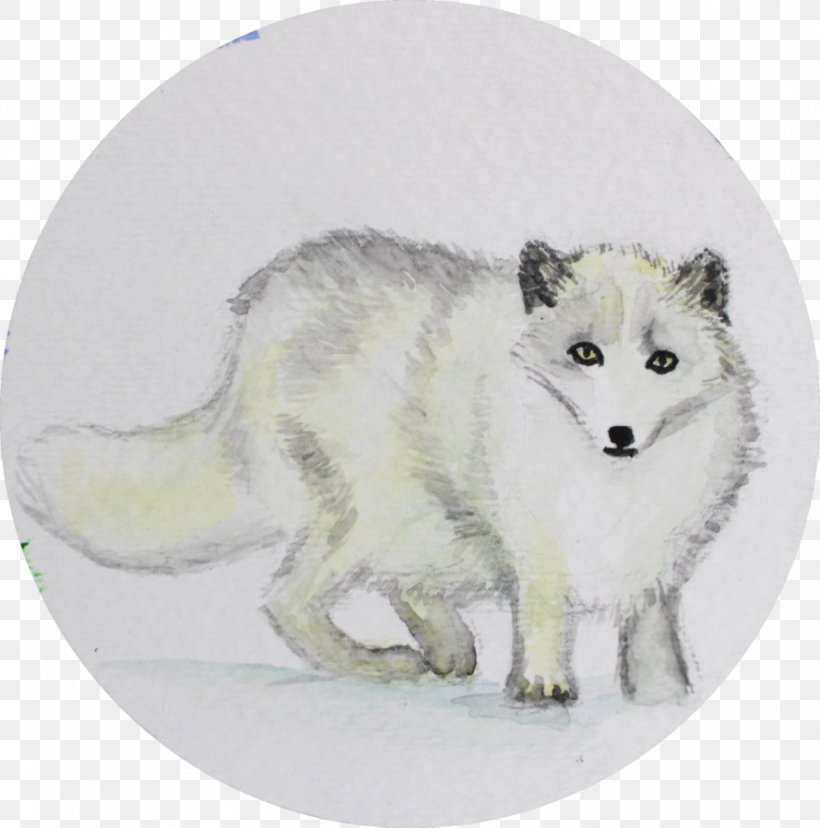 Dog Arctic Fox Alaskan Tundra Wolf Red Fox Canidae, PNG, 889x898px, Dog, Alaskan Tundra Wolf, Animal, Arctic Fox, Canidae Download Free