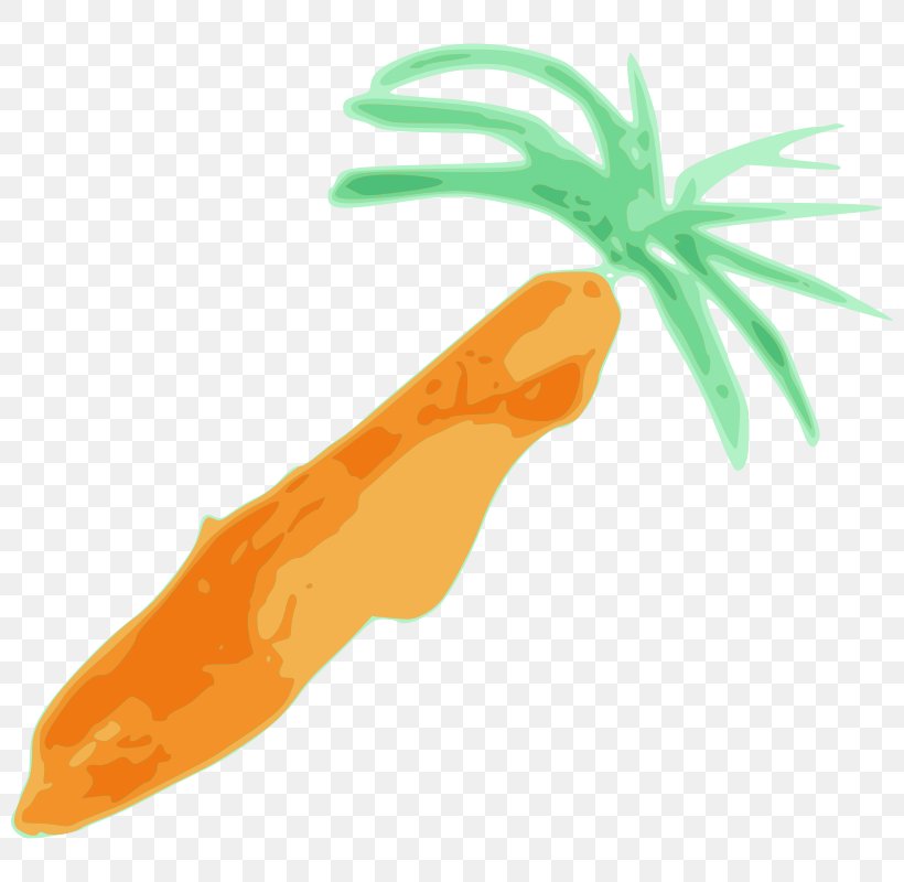 Baby Carrot Clip Art, PNG, 800x800px, Baby Carrot, Art, Carrot, Food, Free Content Download Free