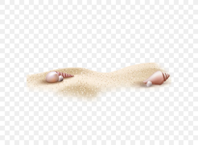 Beach Download Computer File, PNG, 600x600px, Beach, Arm, Beige, Finger, Floor Download Free