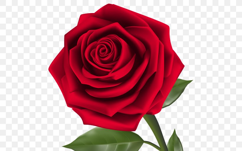 Black Rose Clip Art, PNG, 511x512px, Rose, Black Rose, Blue Rose, China Rose, Close Up Download Free