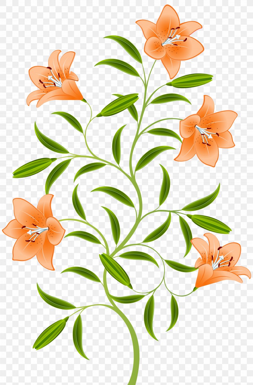Orange Lilium Bulbiferum Hemerocallis Fulva Tiger Lily, PNG, 5256x8000px, Lilium Bulbiferum, Branch, Clip Art, Cut Flowers, Floral Design Download Free