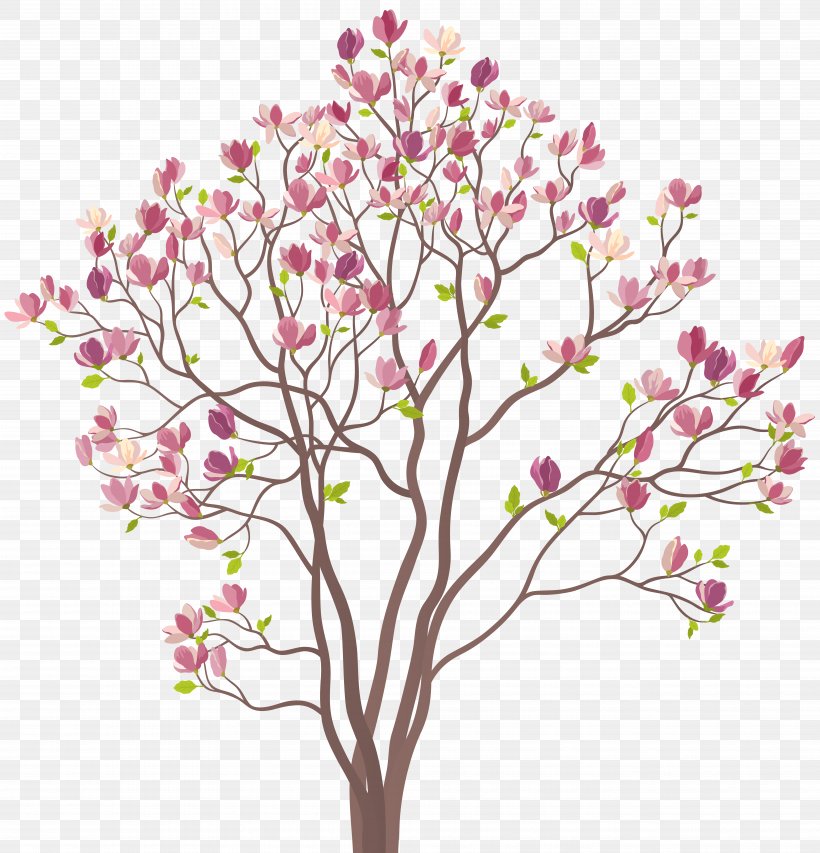 Southern Magnolia Chinese Magnolia Drawing Clip Art, PNG, 7687x8000px, Southern Magnolia, Blossom, Branch, Cherry Blossom, Chinese Magnolia Download Free