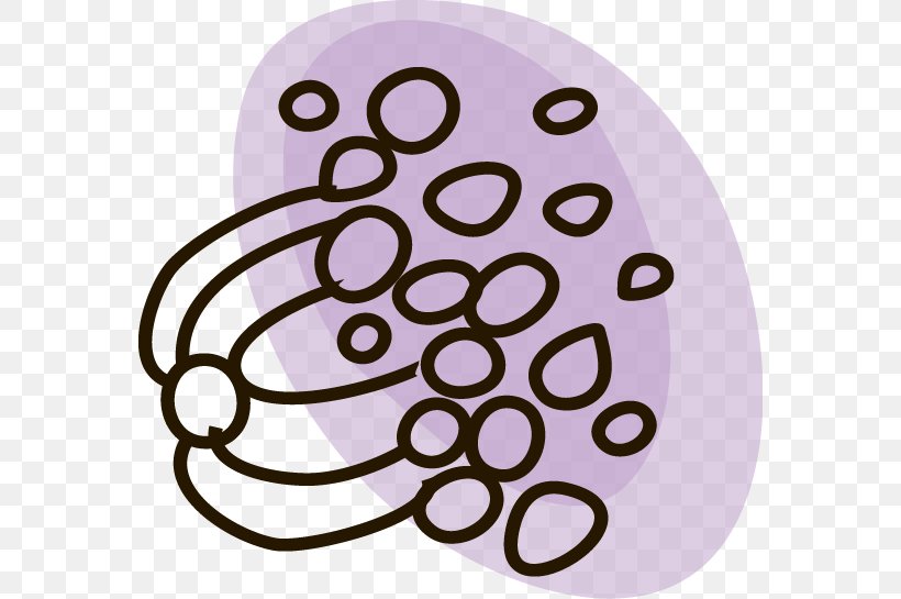 Circle Adobe Illustrator, PNG, 568x545px, Purple, Adobe Flash Player, Adobe Systems, Area, Auto Part Download Free