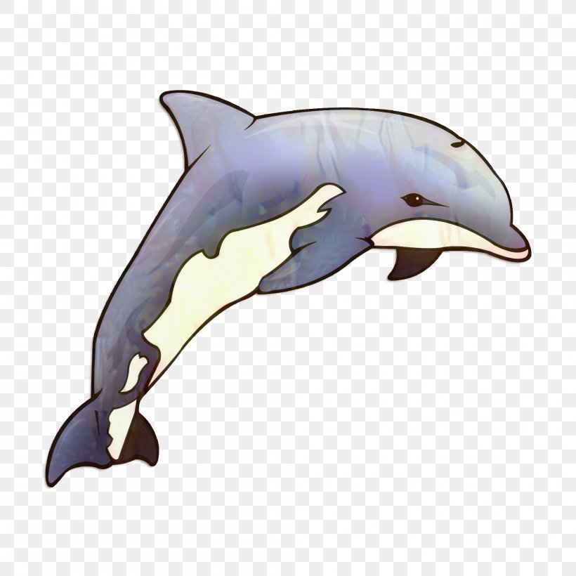 Common Bottlenose Dolphin Short-beaked Common Dolphin Tucuxi Rough-toothed Dolphin Wholphin, PNG, 2000x2000px, Common Bottlenose Dolphin, Animal Figure, Bottlenose Dolphin, Cetacea, Cetaceans Download Free