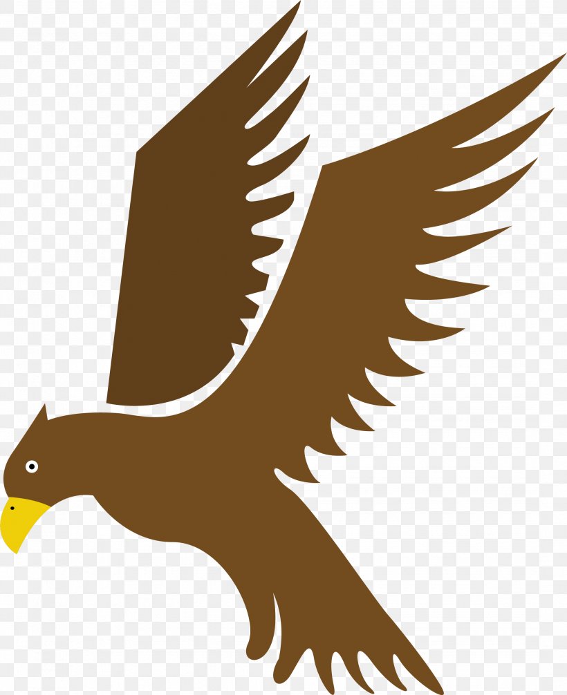 Eagle Bird Hawk Flight, PNG, 2161x2652px, Eagle, Accipitriformes, Amazing, Beak, Bird Download Free