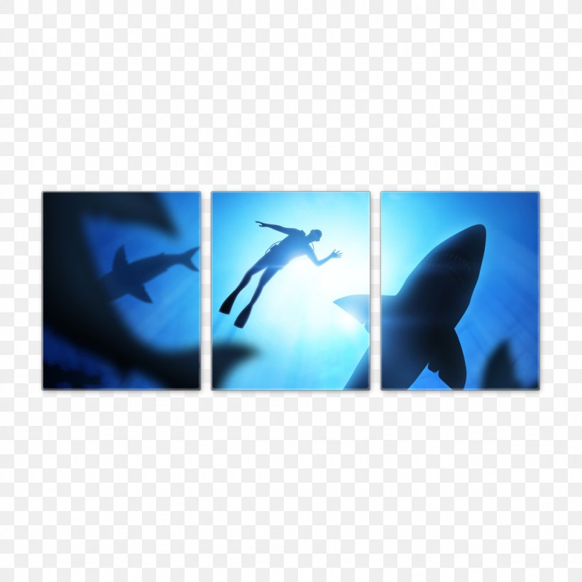 Great White Shark Swimming Hammerhead Shark Shark Finning, PNG, 1024x1024px, Watercolor, Cartoon, Flower, Frame, Heart Download Free