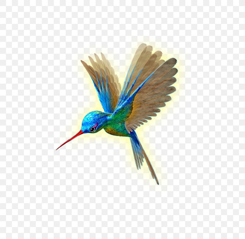 Hummingbird Wing Flight, PNG, 450x800px, Hummingbird, Animal, Beak, Bird, Bluebird Download Free