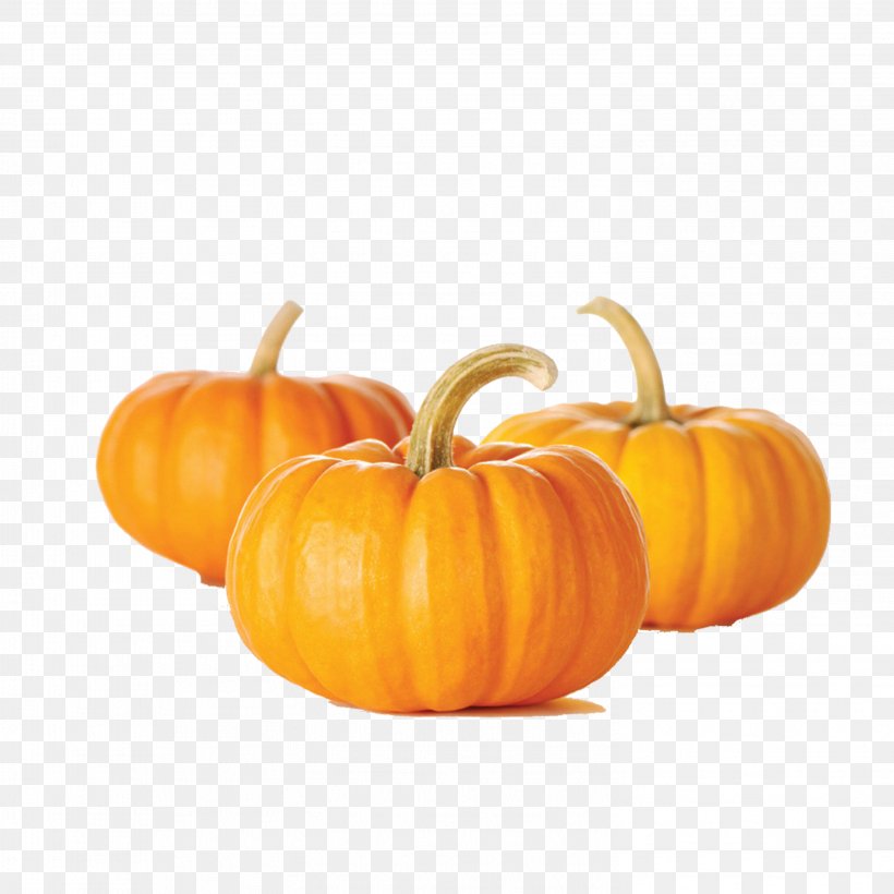 Pumpkin Bread Muffin Pumpkin Seed Vegetable, PNG, 2953x2953px, Pumpkin Bread, Calabaza, Carotene, Cucumber Gourd And Melon Family, Cucurbita Download Free
