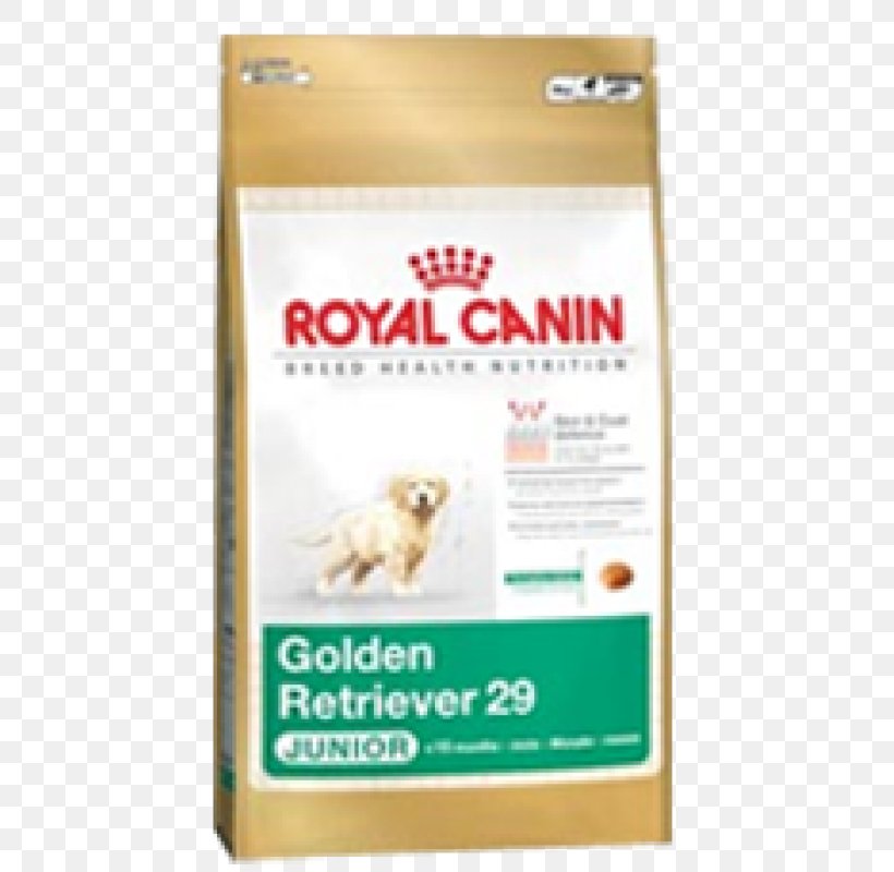 Rottweiler Golden Retriever Maltese Dog Yorkshire Terrier Puppy, PNG, 800x800px, Rottweiler, Carnivoran, Dog, Dog Breed, Dog Food Download Free
