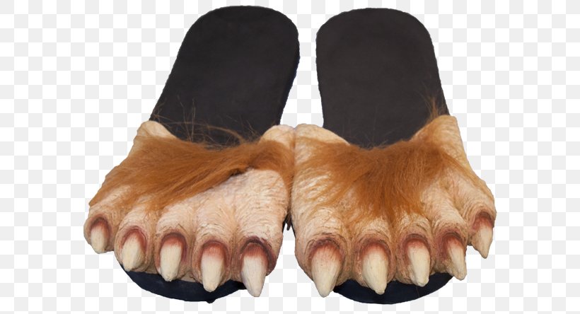 Slipper Foot Werewolf Gray Wolf Big Bad Wolf, PNG, 600x444px, Slipper, Ankle, Big Bad Wolf, Clothing, Clothing Accessories Download Free