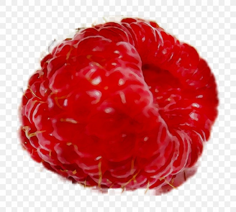Berries Cranberry Fruit Raspberry Pi, PNG, 1090x980px, Berries, Anthurium, Berry, Cranberry, Food Download Free