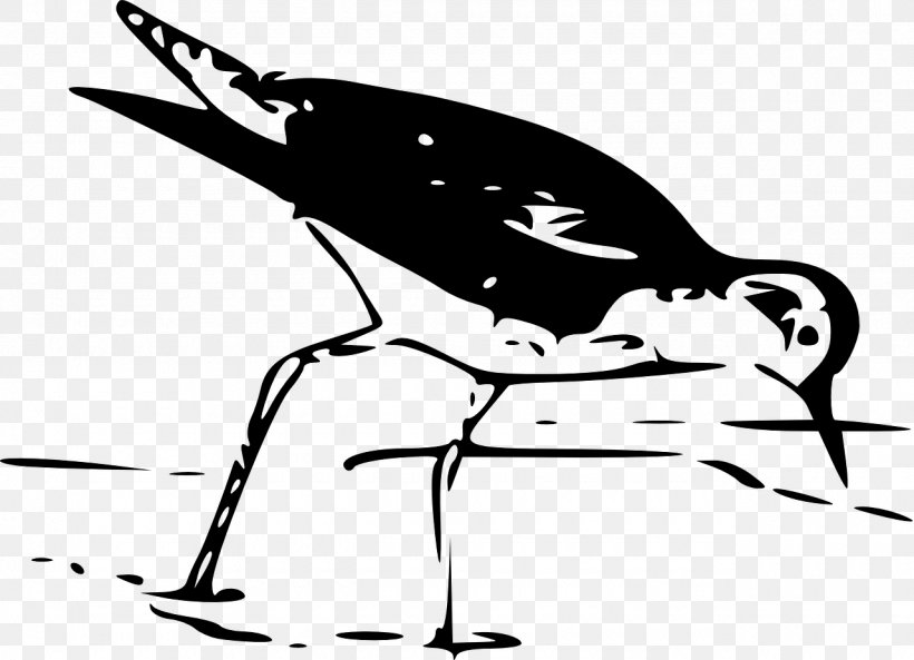 Bird Download Clip Art, PNG, 1280x926px, Bird, Art, Artwork, Beak, Black And White Download Free