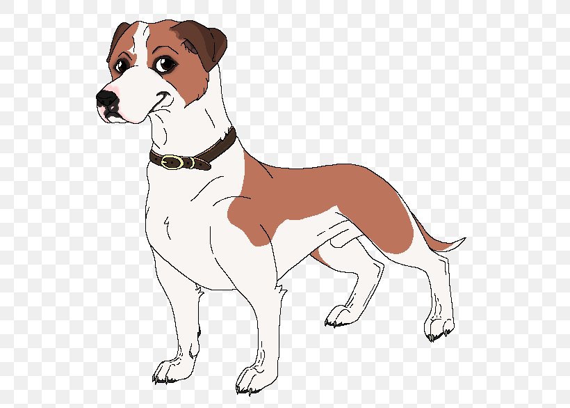 English Foxhound Harrier American Foxhound Canidae Dog Breed, PNG, 615x586px, English Foxhound, American Foxhound, Animal, Breed, Canidae Download Free