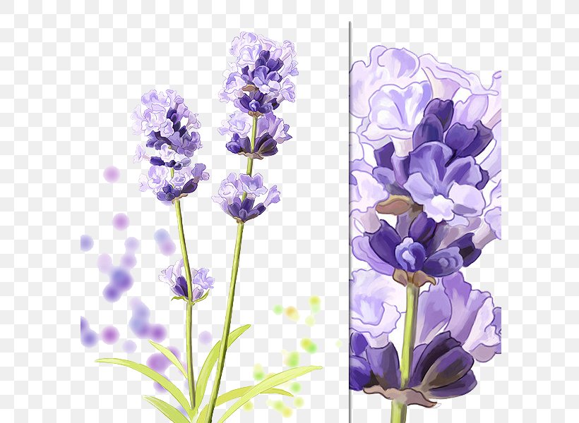 Hyacinthus Orientalis Purple Download Cartoon, PNG, 600x600px, Hyacinthus Orientalis, Artificial Flower, Cartoon, Color, Cut Flowers Download Free