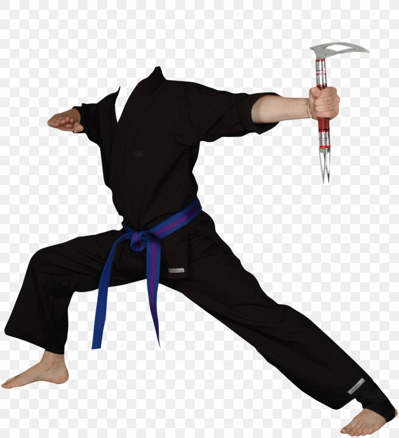 Karate Photography Clip Art, PNG, 1500x1648px, Karate, Computer Software, Joint, Kuk Sool Won, Photography Download Free