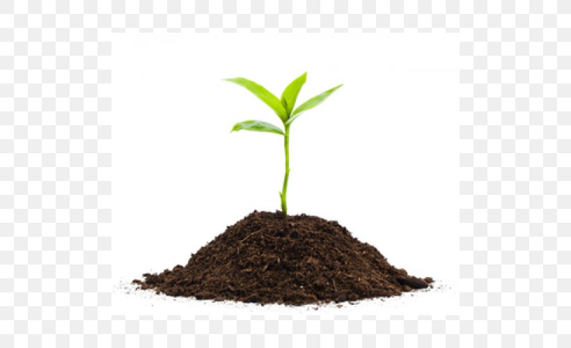 Seedling Plants Soil Image, PNG, 500x500px, Seedling, Compost, Fertilisers, Hemp, Plants Download Free