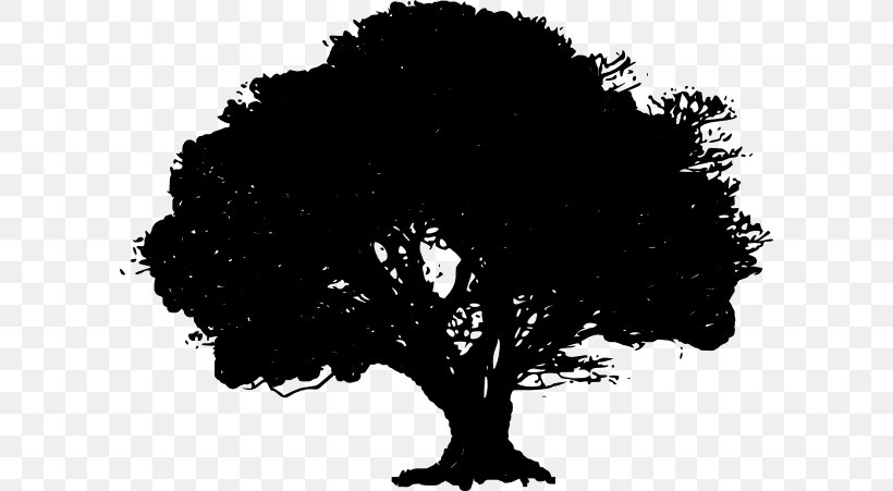 Tree Drawing Water Oak Clip Art, PNG, 600x451px, Tree, Arecaceae, Bark, Black, Black And White Download Free