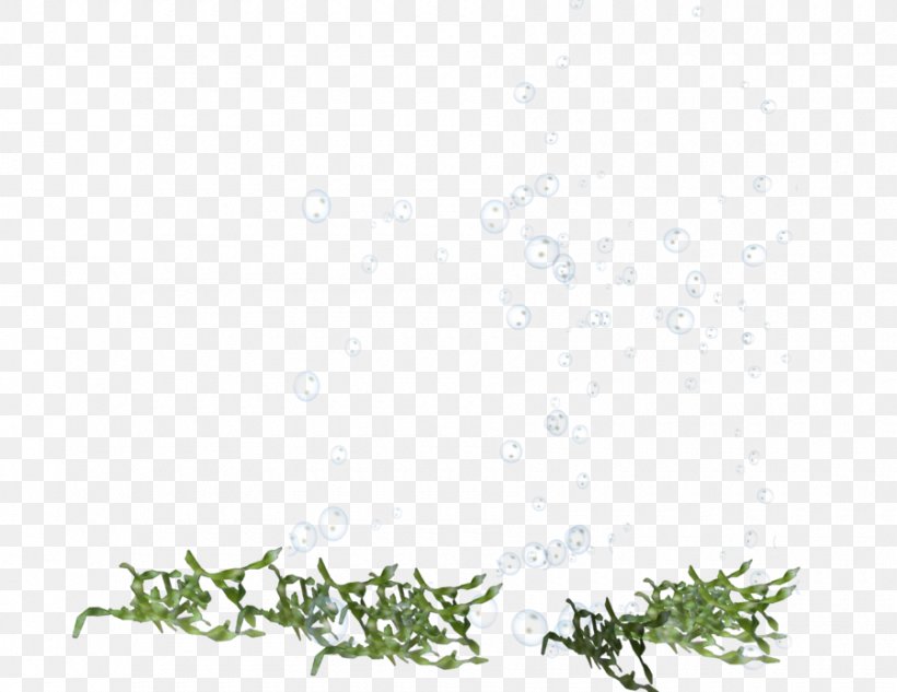 Twig Floral Design Green, PNG, 900x695px, Twig, Area, Black, Black And White, Border Download Free