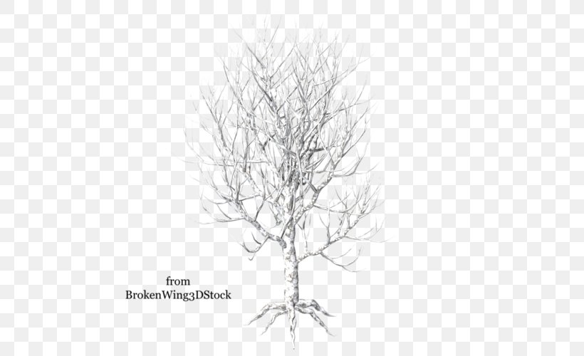 Twig Paper Birch Betula Pubescens Branch Tree, PNG, 500x500px, Twig, Betula Pubescens, Birch, Black And White, Branch Download Free