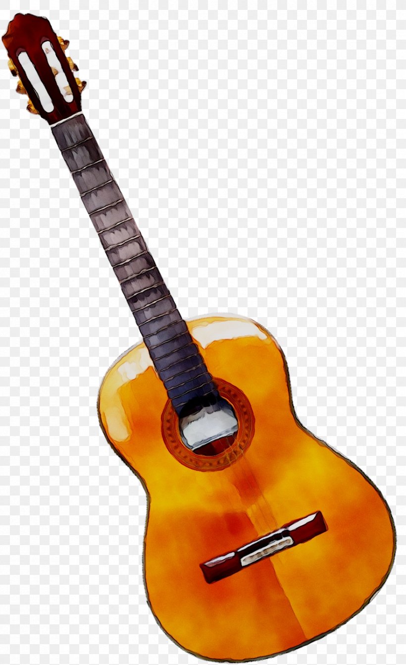 Acoustic Guitar Tiple Cuatro Mandolin, PNG, 878x1437px, Acoustic Guitar, Acousticelectric Guitar, Bass Guitar, Cavaquinho, Classical Guitar Download Free