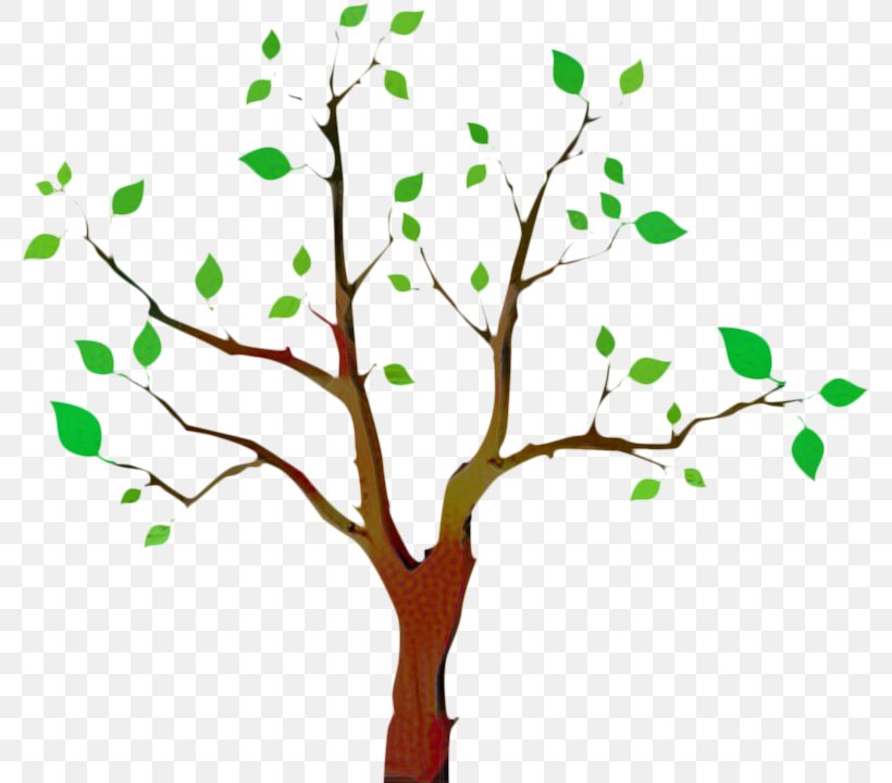 Family Tree Background, PNG, 781x720px, Honolulu, Branch, Family Tree, Flower, Genealogy Download Free