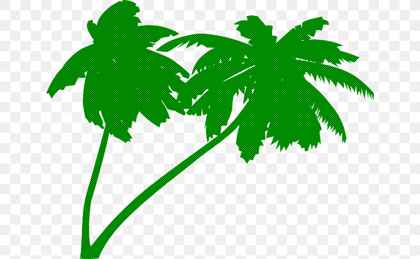 Palm Tree, PNG, 640x507px, Leaf, Arecales, Flower, Green, Palm Tree Download Free