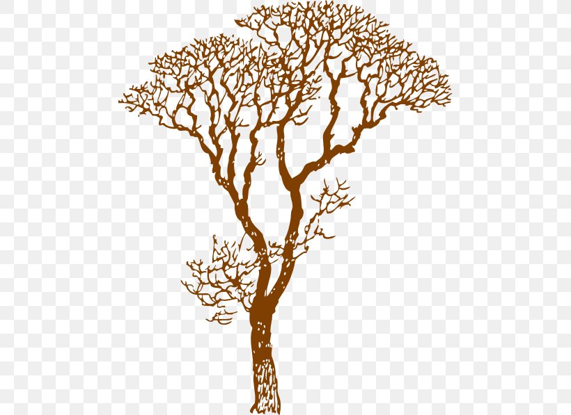 Tree Wall Decal Branch Drawing Clip Art, PNG, 480x597px, Tree, Branch, Cedar, Drawing, Flora Download Free