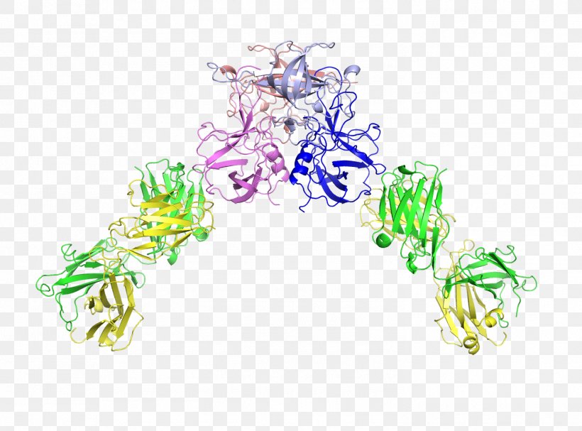 Yokohama City University Structure University Of Texas At Austin Subdomain Structural Biology, PNG, 1472x1090px, Yokohama City University, Antibody, Body Jewelry, Crystal Structure, Doctor Of Philosophy Download Free
