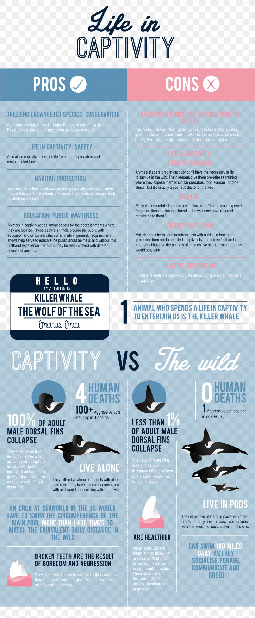 Captive Killer Whales Captivity Zoo Infographic, PNG, 3512x8512px, Captive Killer Whales, Advertising, Animal, Brand, Brochure Download Free