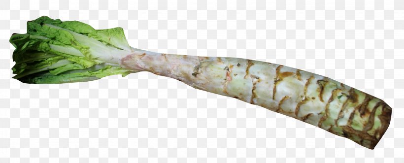 Celtuce Vegetable, PNG, 2856x1155px, Celtuce, Display Resolution, Education, Horseradish, Image Resolution Download Free