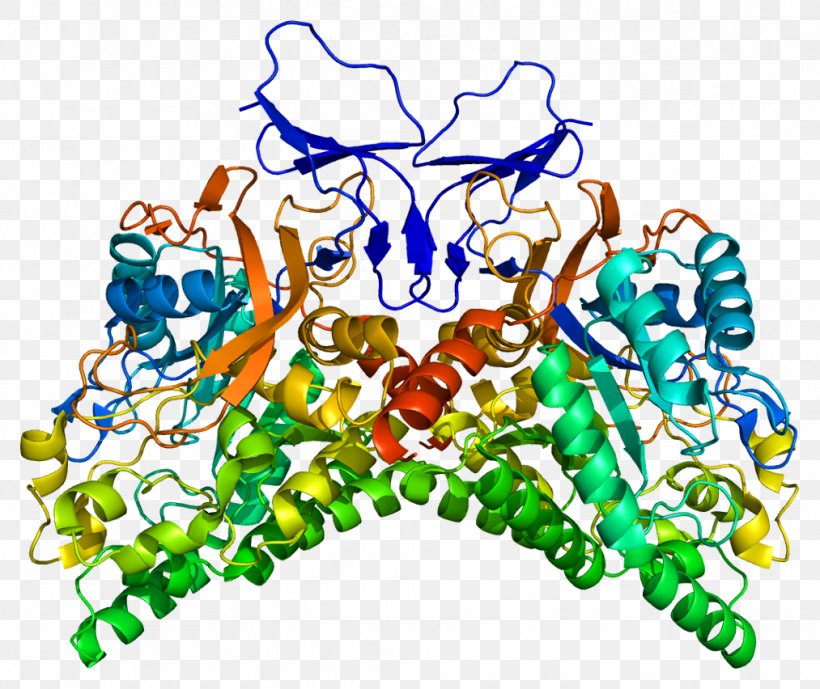 Collapsin Response Mediator Protein Family Lacosamide CRMP1 Gene, PNG, 1013x852px, Lacosamide, Anticonvulsant, Area, Body Jewelry, Gene Download Free