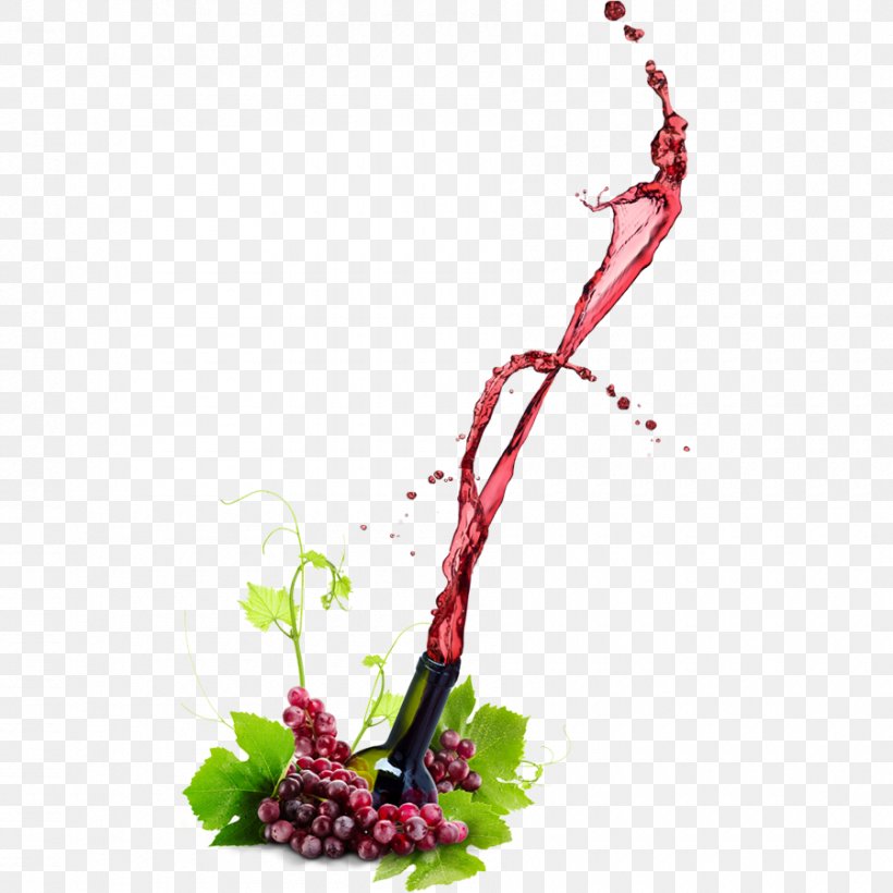 Red Wine Restaurant Manastirski Livadi, PNG, 900x900px, Red Wine, Aquifoliaceae, Bottle, Branch, European Cuisine Download Free
