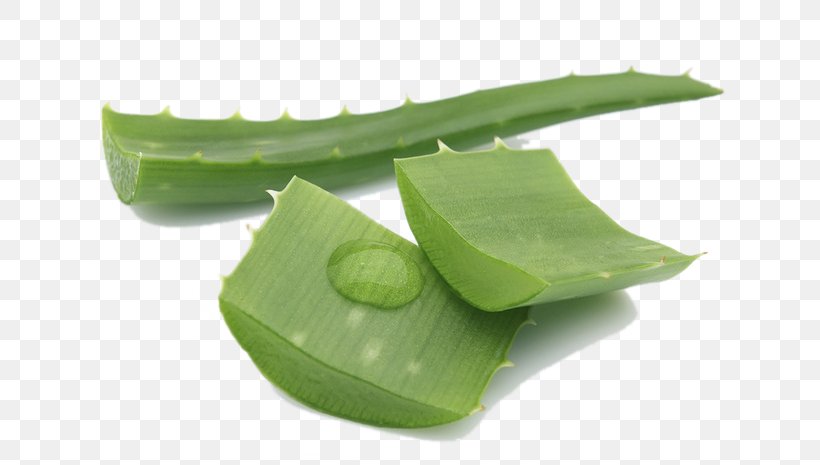 Aloe Vera Gel Skin Care Extract, PNG, 658x465px, Aloe Vera, Abrasion, Acne, Aloe, Banana Leaf Download Free