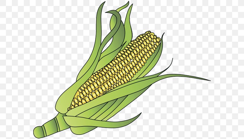 Corn On The Cob Maize Sweet Corn Organic Food, PNG, 600x466px, Corn On The Cob, Commodity, Food, Food Grain, Fruit Download Free