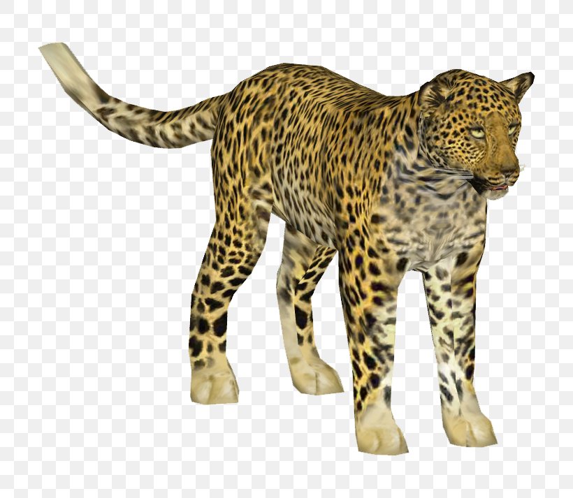 Indian Leopard Cheetah African Leopard Jaguar Ocelot, PNG, 713x713px, Indian Leopard, African Leopard, Animal Figure, Big Cat, Big Cats Download Free
