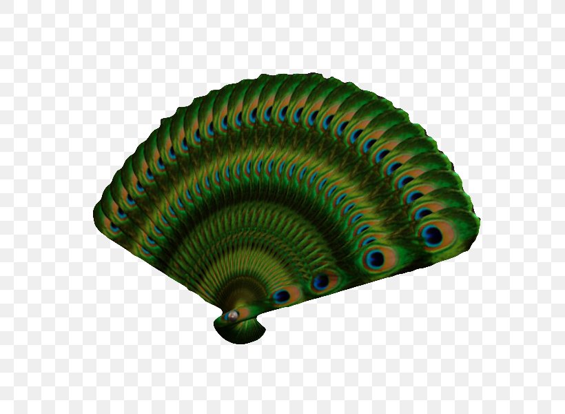 Japan Hand Fan 3D Modeling Peafowl, PNG, 600x600px, 3d Computer Graphics, 3d Modeling, Japan, Cgtrader, Computer Graphics Download Free