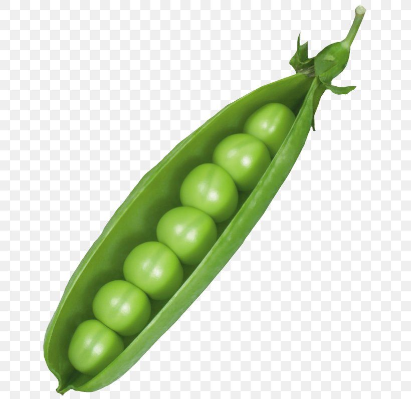 Pea Pod Clip Art, PNG, 660x796px, Pea, Bean, Broad Bean, Commodity, Food Download Free