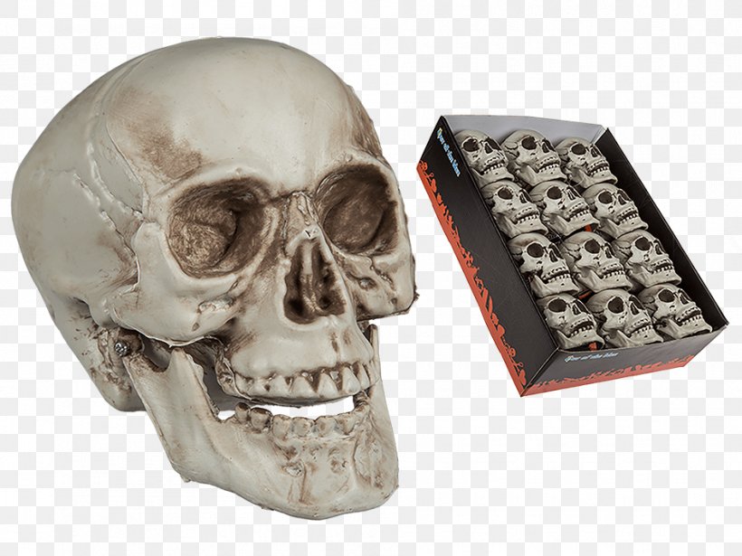Skull Skeleton, PNG, 945x709px, Skull, Bone, Jaw, Skeleton Download Free