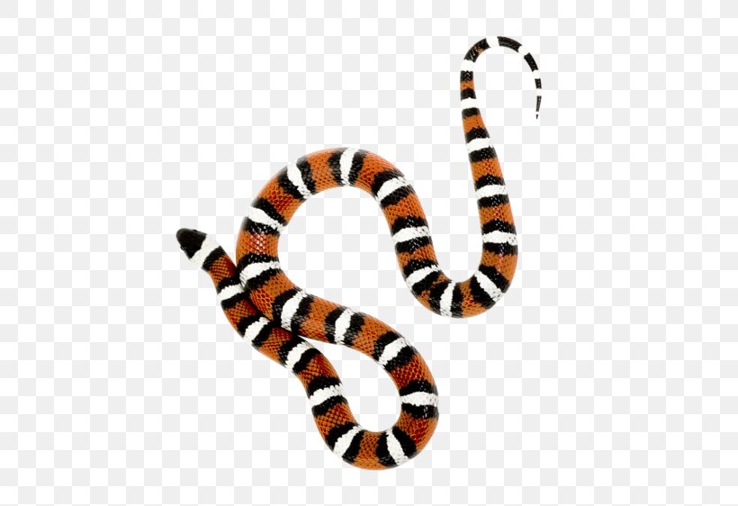 Milk Snake Reptile, PNG, 500x562px, Snake, Animal, Animal Figure, Black Rat Snake, Boas Download Free