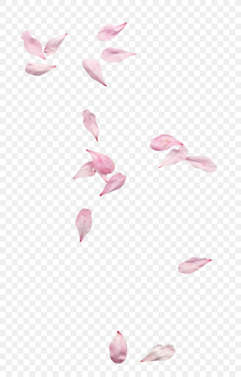 Petal Clip Art, PNG, 763x1280px, Petal, Blossom, Cherry Blossom, Flower, Ink Download Free