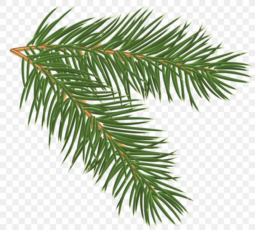 Pine Branch Clip Art, PNG, 3000x2704px, Pine, Branch, Christmas, Christmas Ornament, Conifer Download Free