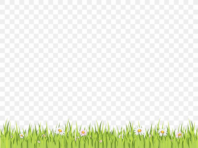 Family Tree Background, PNG, 3000x2247px, Lawn, Brian Molko, Discover Card, Discover Financial Services, Flower Download Free