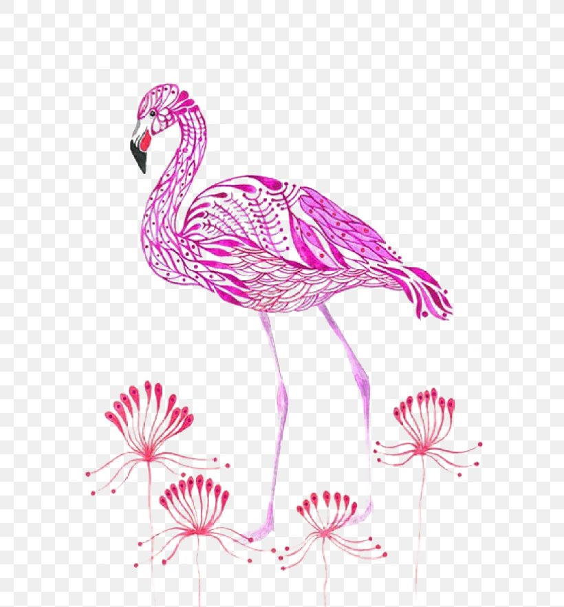 Flamingos Olya, Russia Bird Watercolor Painting Illustration, PNG, 700x882px, Flamingos, Animal, Beak, Bird, Color Download Free